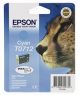 Epson Stylus D120 Cyan Ink Cartridge